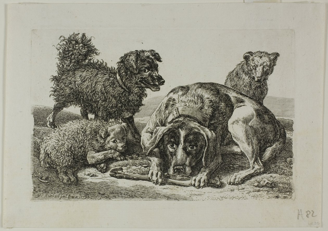 Quattro cani, da Die Zweite Thierfolge da Johann Christian Reinhart