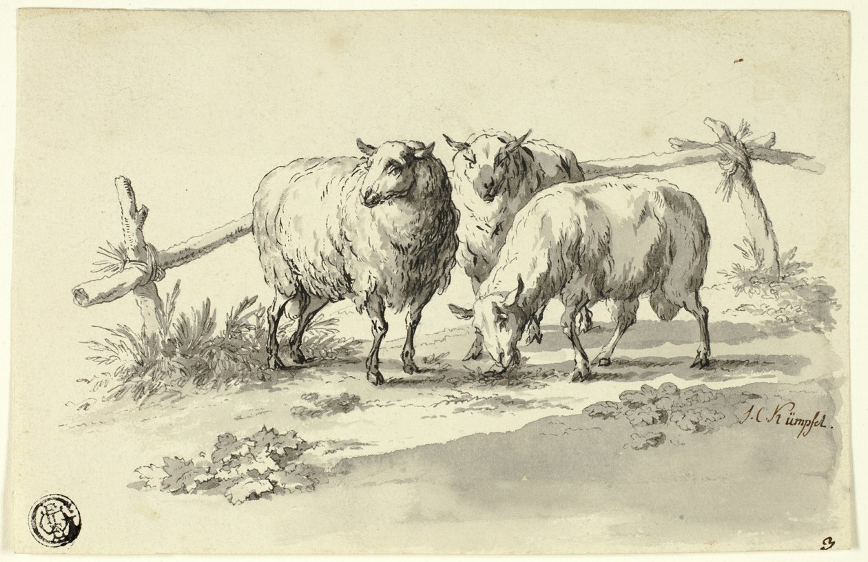 Pecore da Johann Christoph Kimpfel