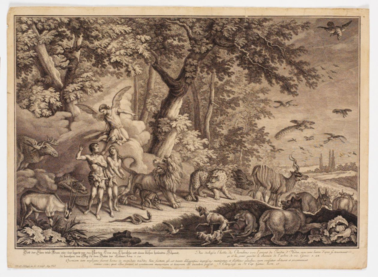 Cacciata dal paradiso da Johann Elias Ridinger