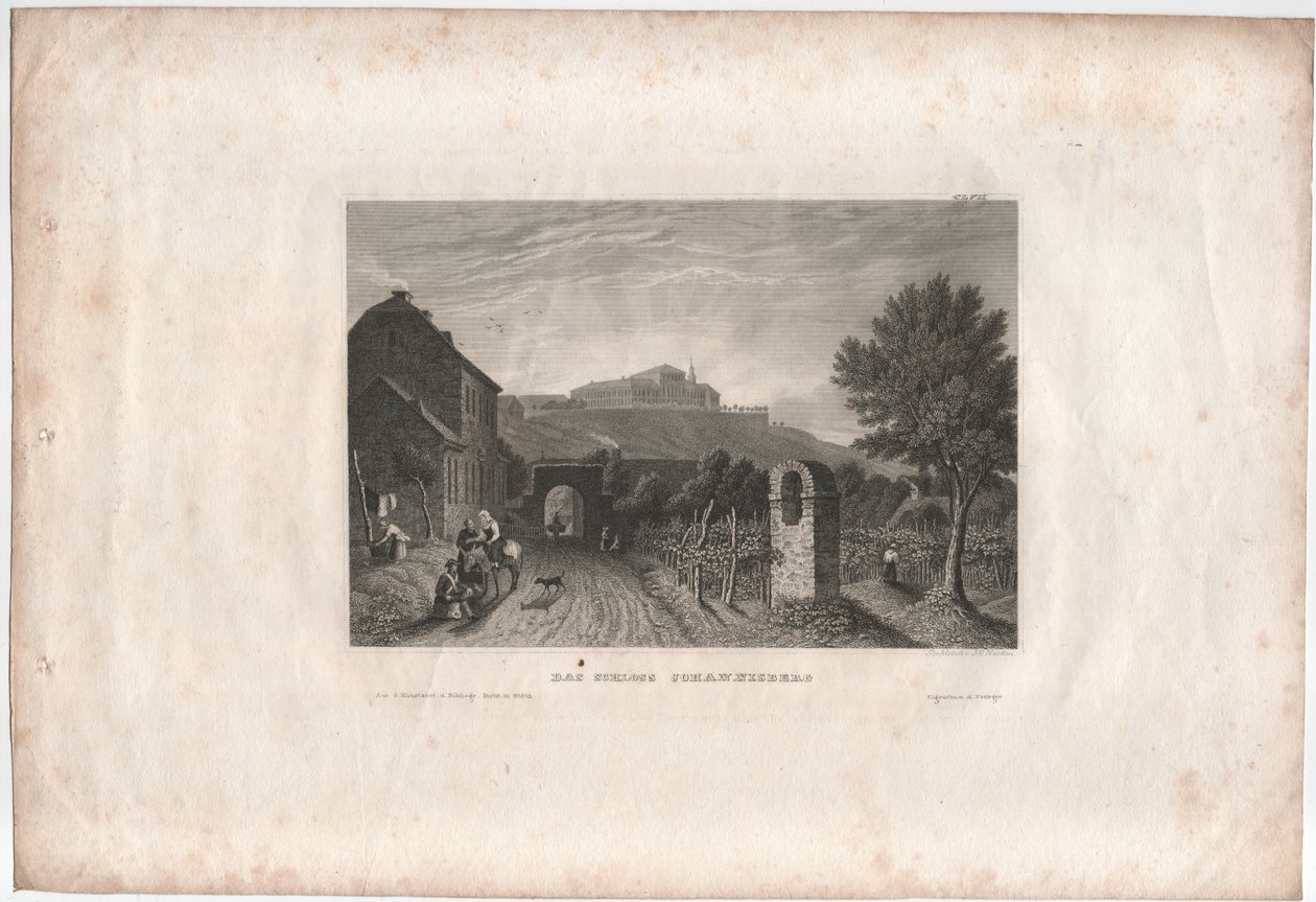 Castello di Johannisberg da Johann Georg Martini