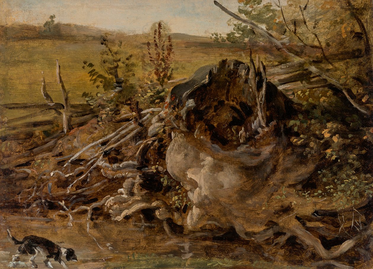 Ceppo marcio e cane da caccia da Johann Georg von Dillis