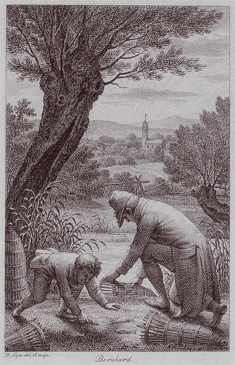 BernhardJHLipsi da Johann Heinrich Lips