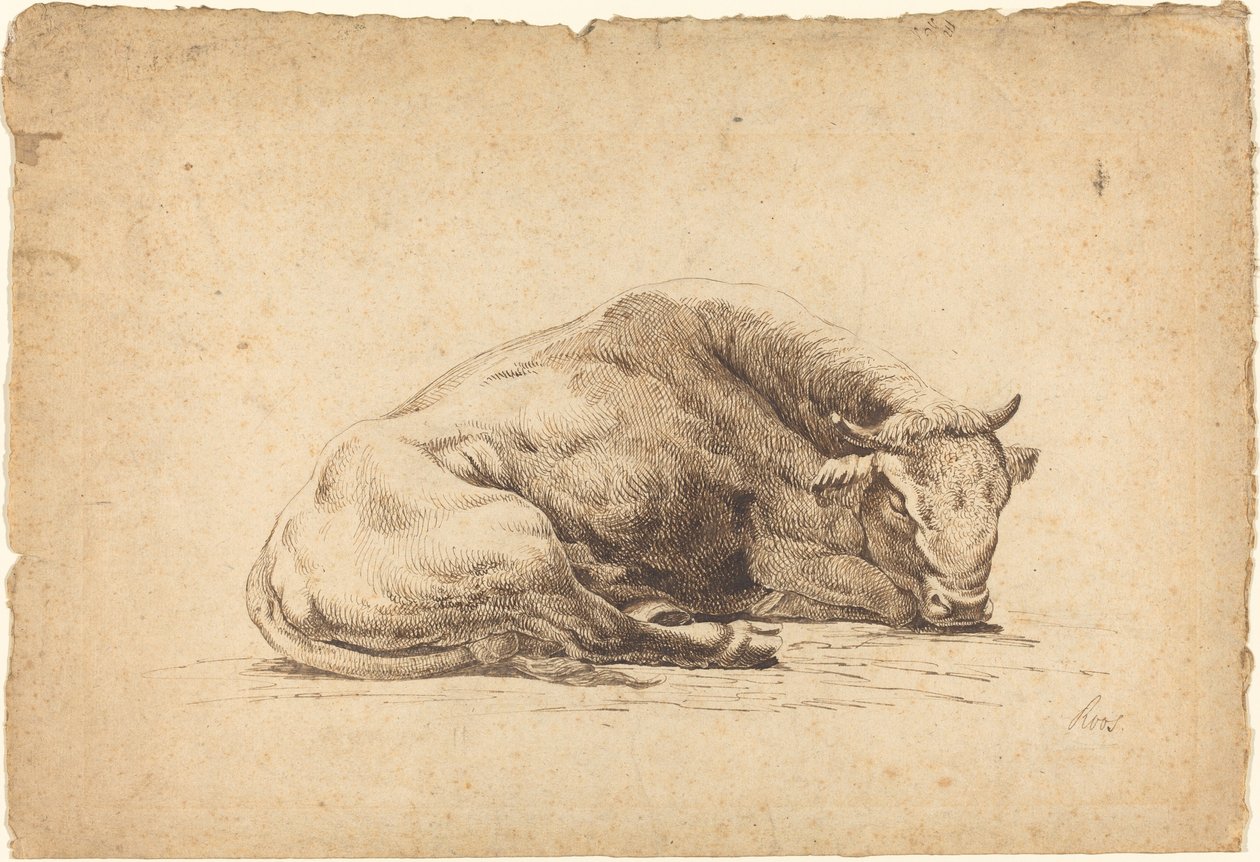 Un toro che dorme da Johann Heinrich Roos