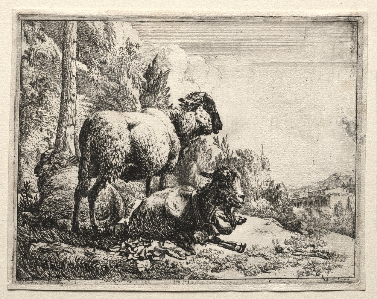 Capra con campanello, 1665 da Johann Heinrich Roos