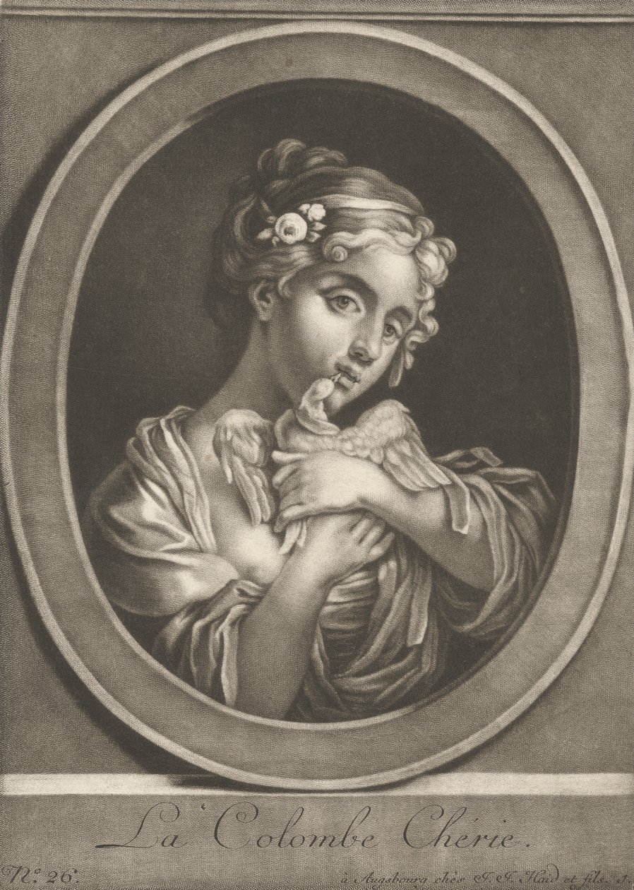 La colomba cara da Johann Jacobus Haid