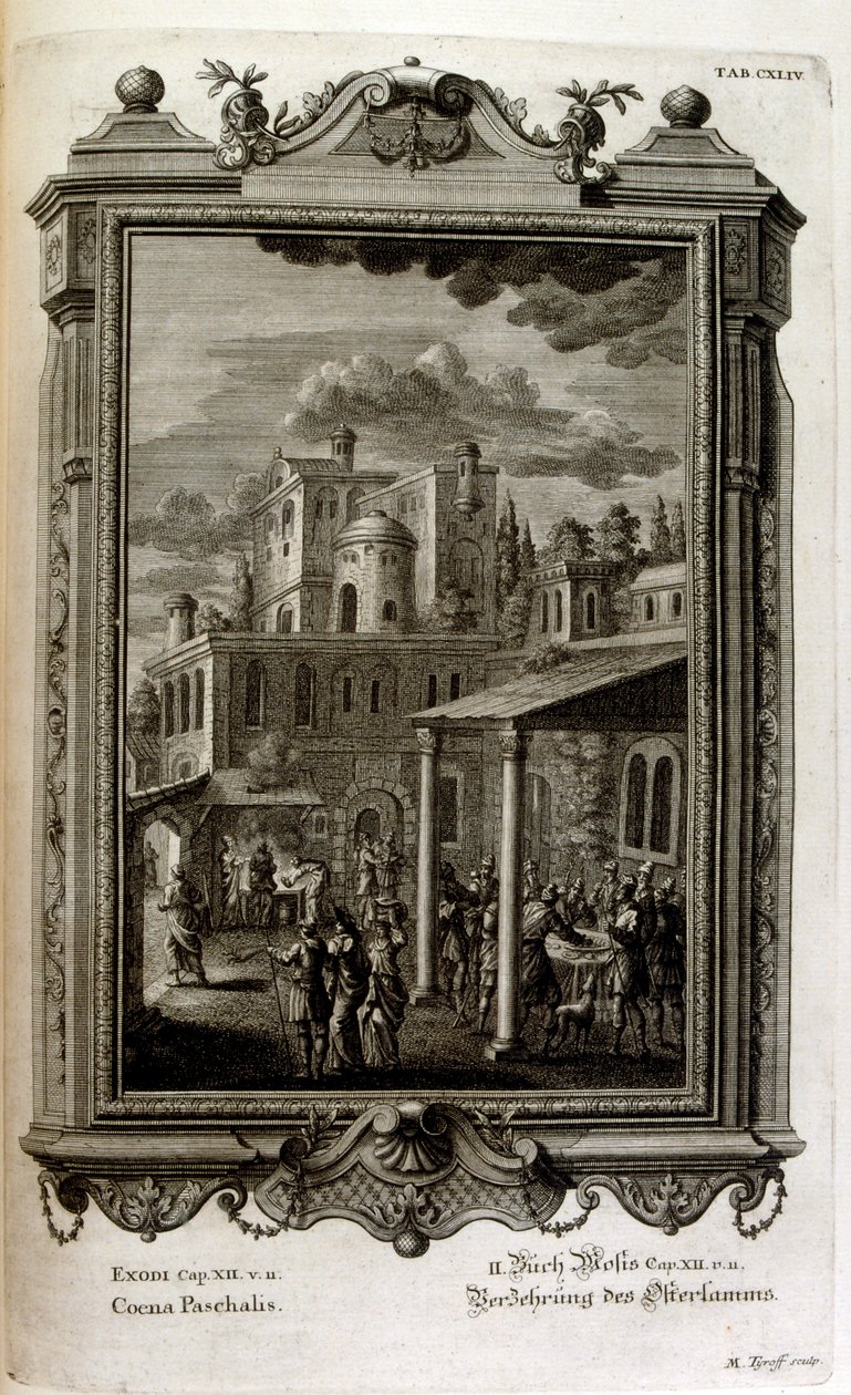 Illustrazione da Johann Jakob Scheuchzer
