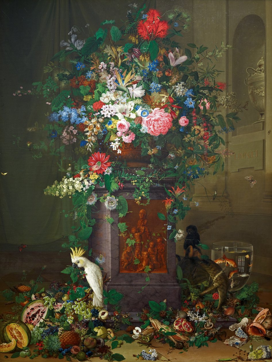 Omaggio a Jacquin ("Monumento di Jacquin") da Johann Knapp