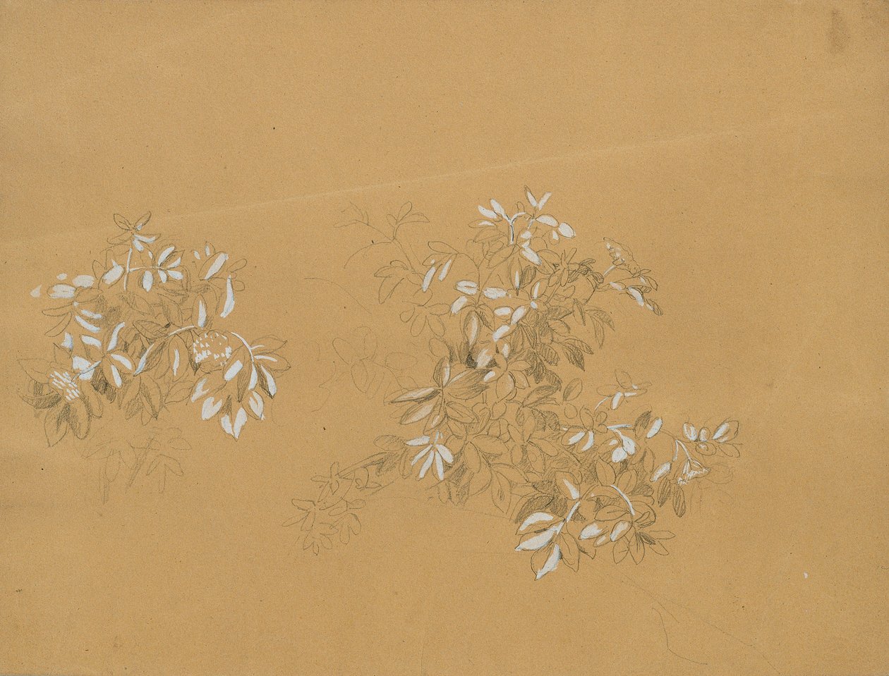 Boscaglia da Johann Peter Krafft