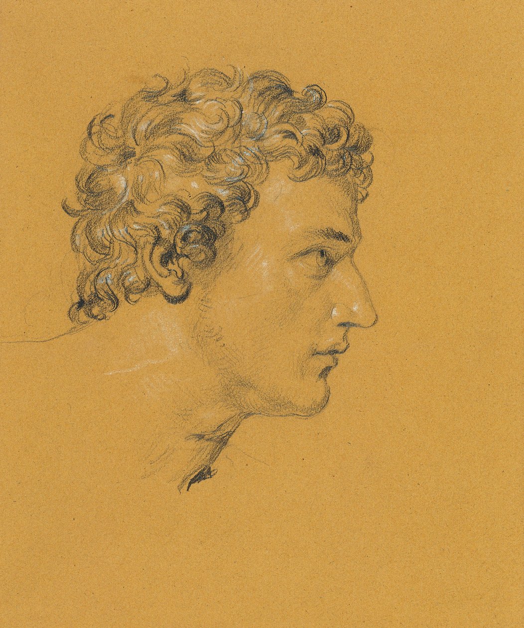 Studio di una testa da Johann Peter Krafft