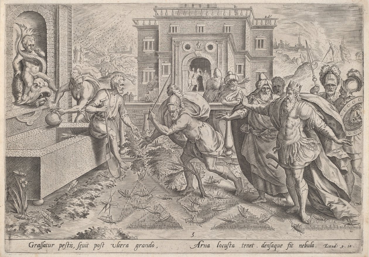 La piaga delle locuste da Johann Sadeler I