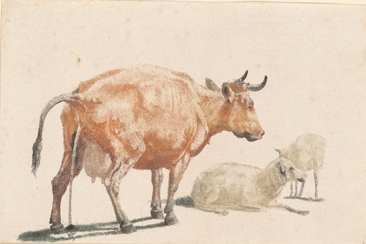 La mucca che urina da Johann Teyler, after Paulus Potter