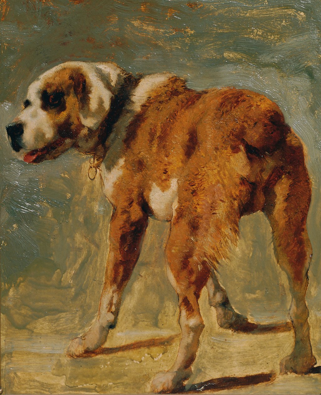 San Bernardo da Johann  Till der Jüngere