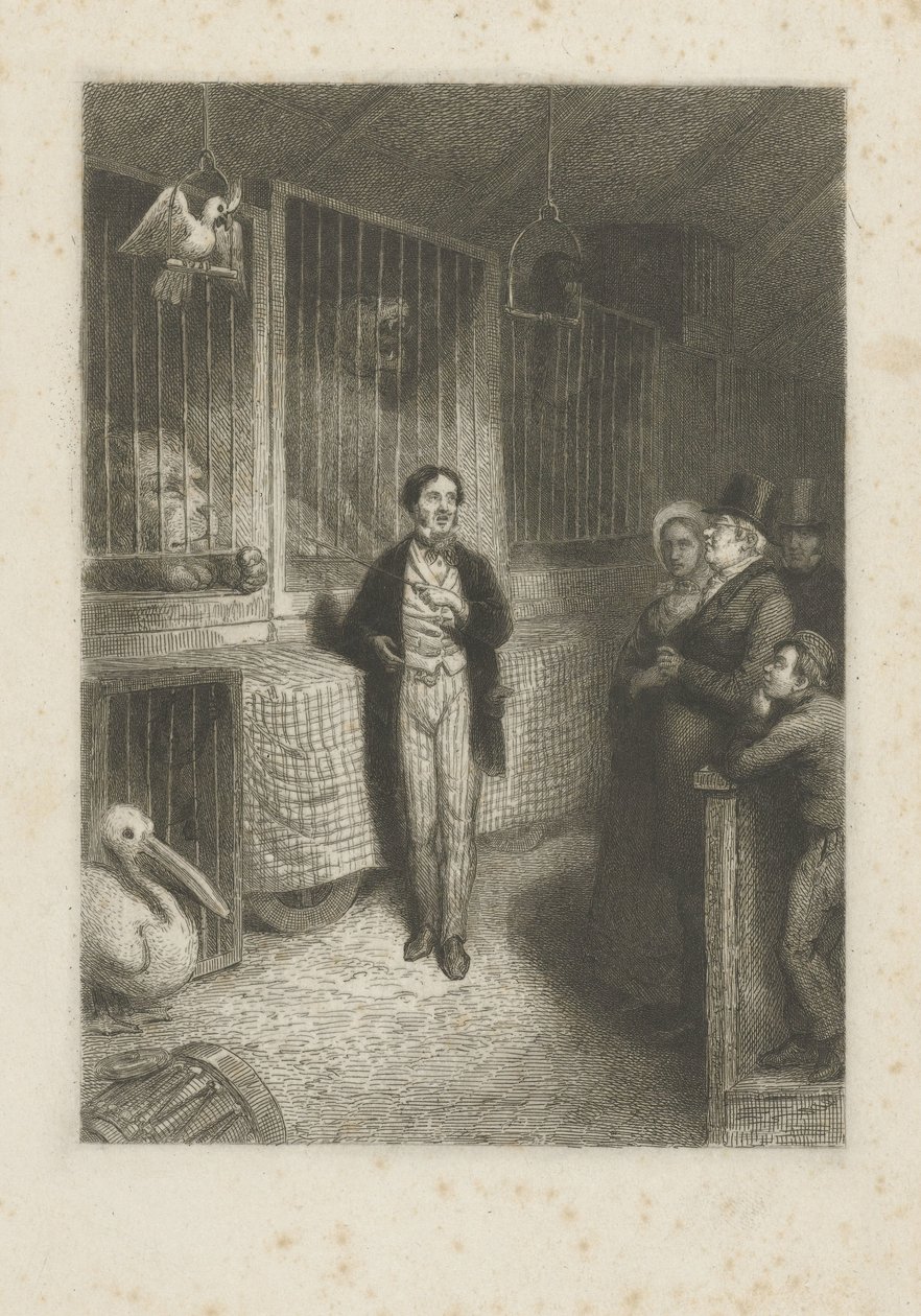 Animali che guardano da Johann Wilhelm Kaiser (I)