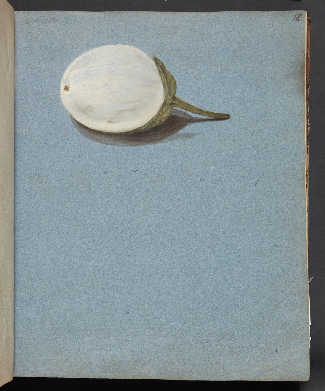 Studio di bacche da Johanna Fosie