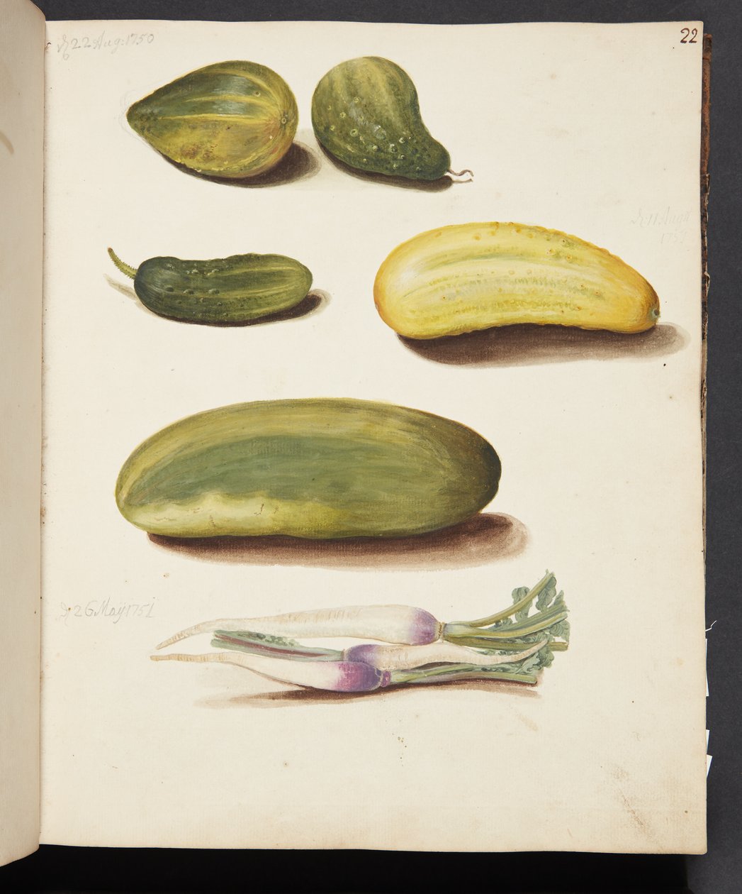 Studio di verdure da Johanna Fosie