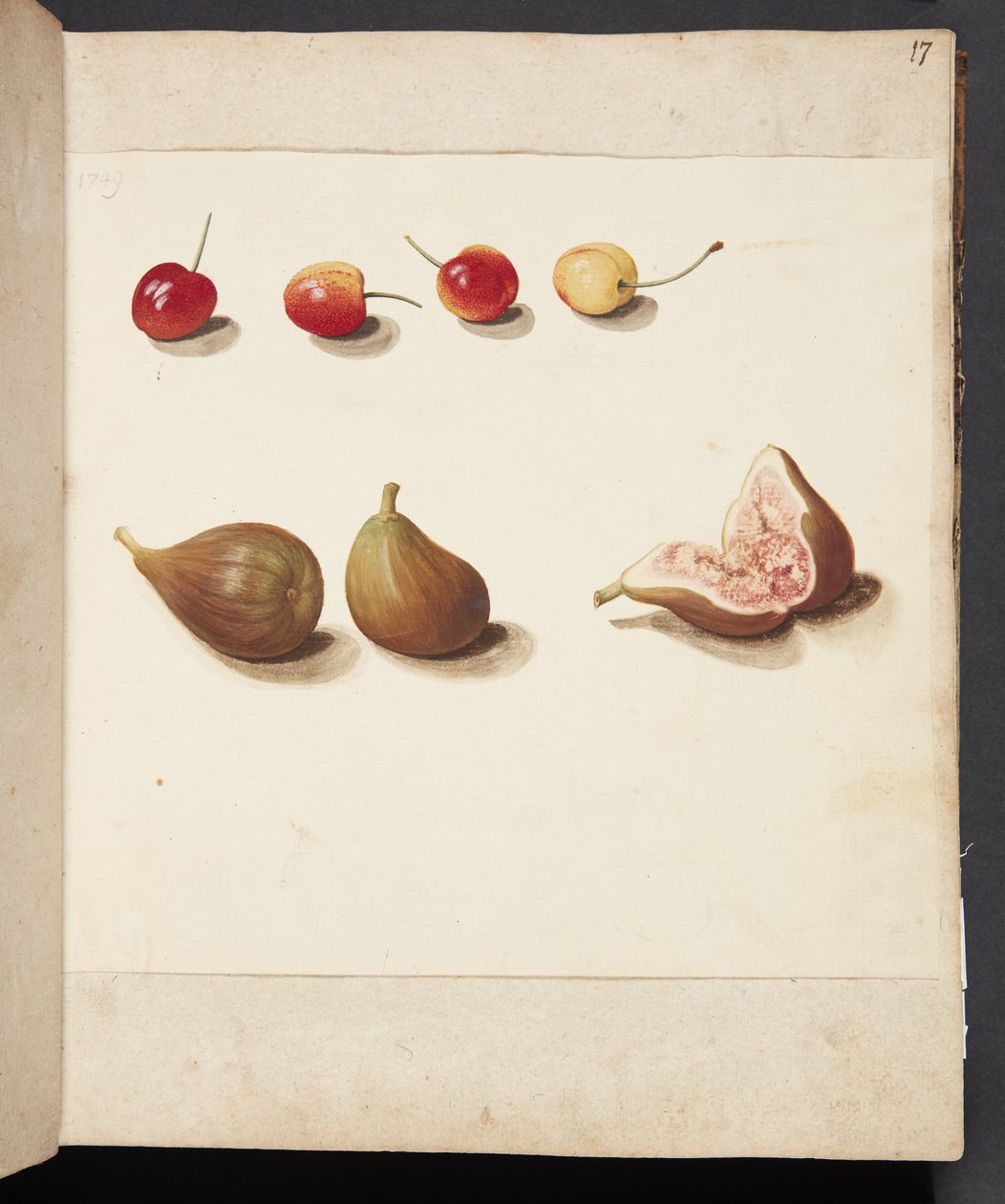 Studio di ciliegie e fichi da Johanna Fosie