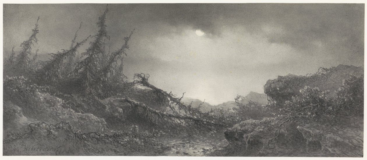 Dopo la tempesta da Johannes Hilverdink
