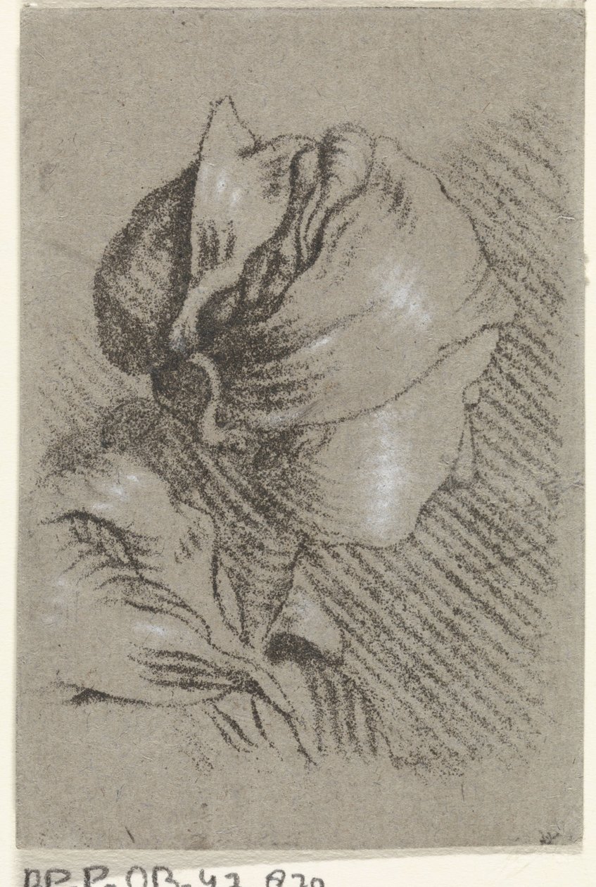 Busto di donna da Johannes Janson (possibly)