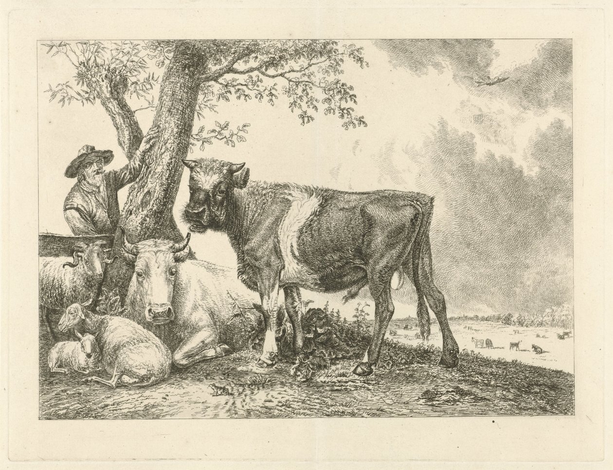 Toro e contadino da Johannes Mock