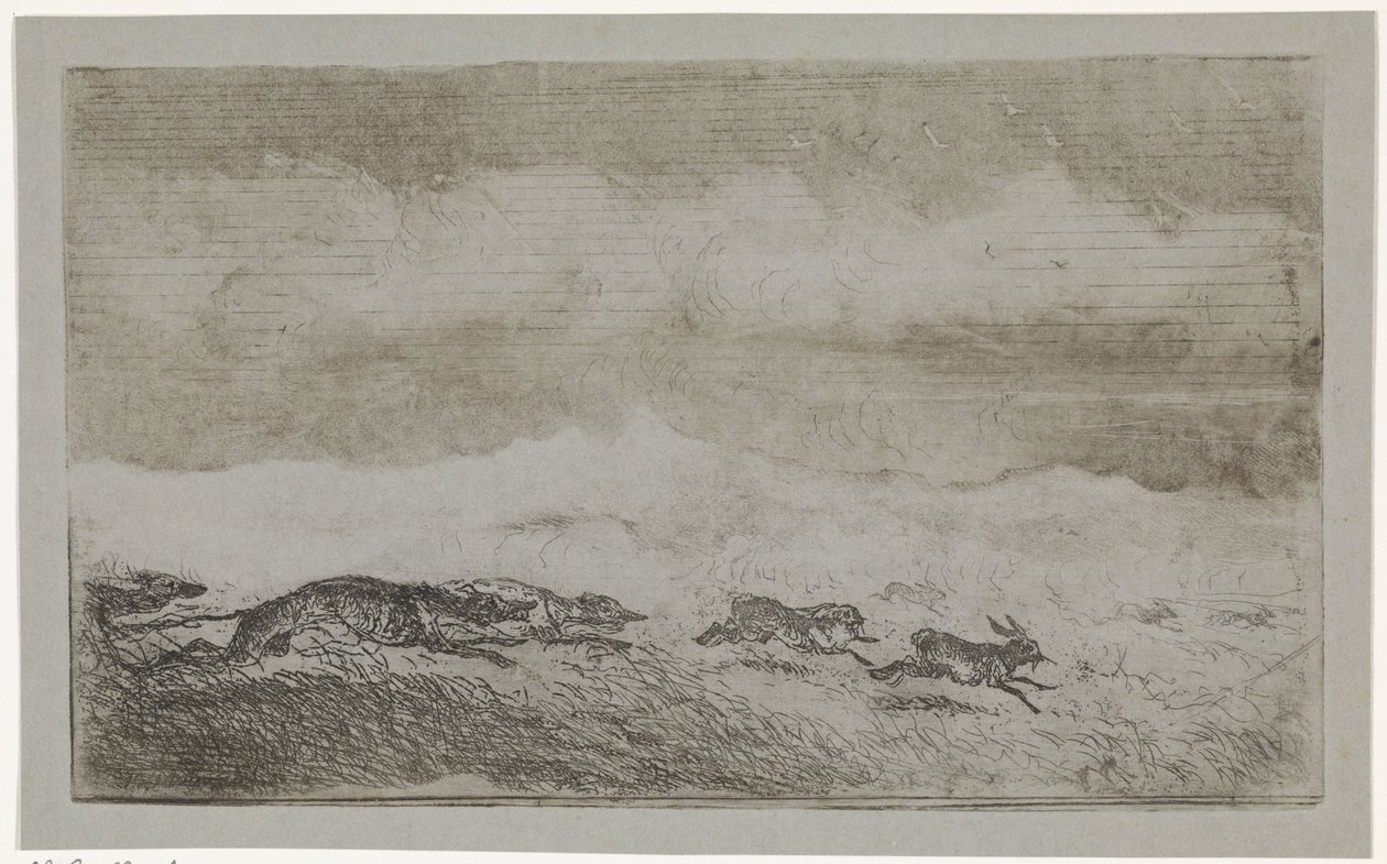 Caccia alla lepre da Johannes Tavenraat