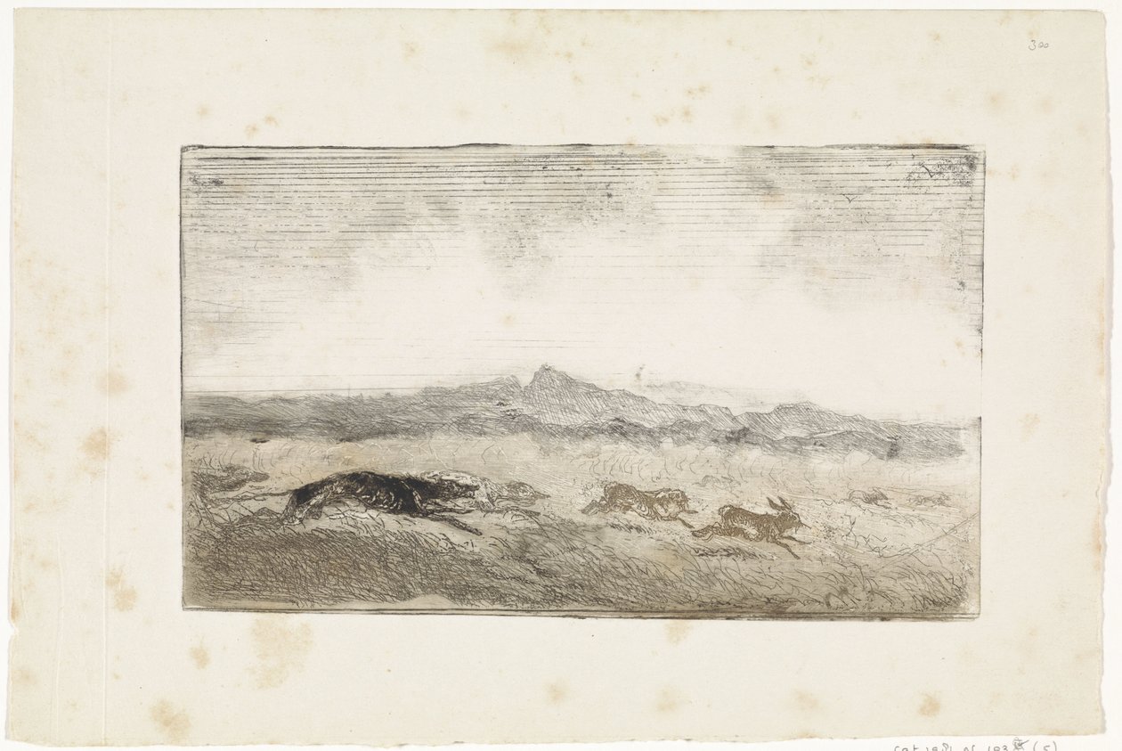 Caccia alla lepre da Johannes Tavenraat