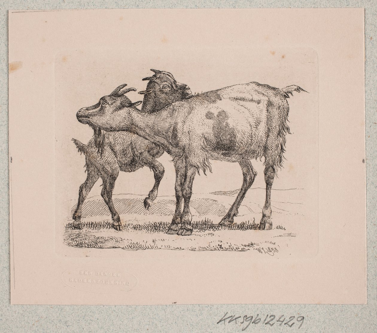 Una capra con il suo capretto da Johannes Wilhelm Zillen