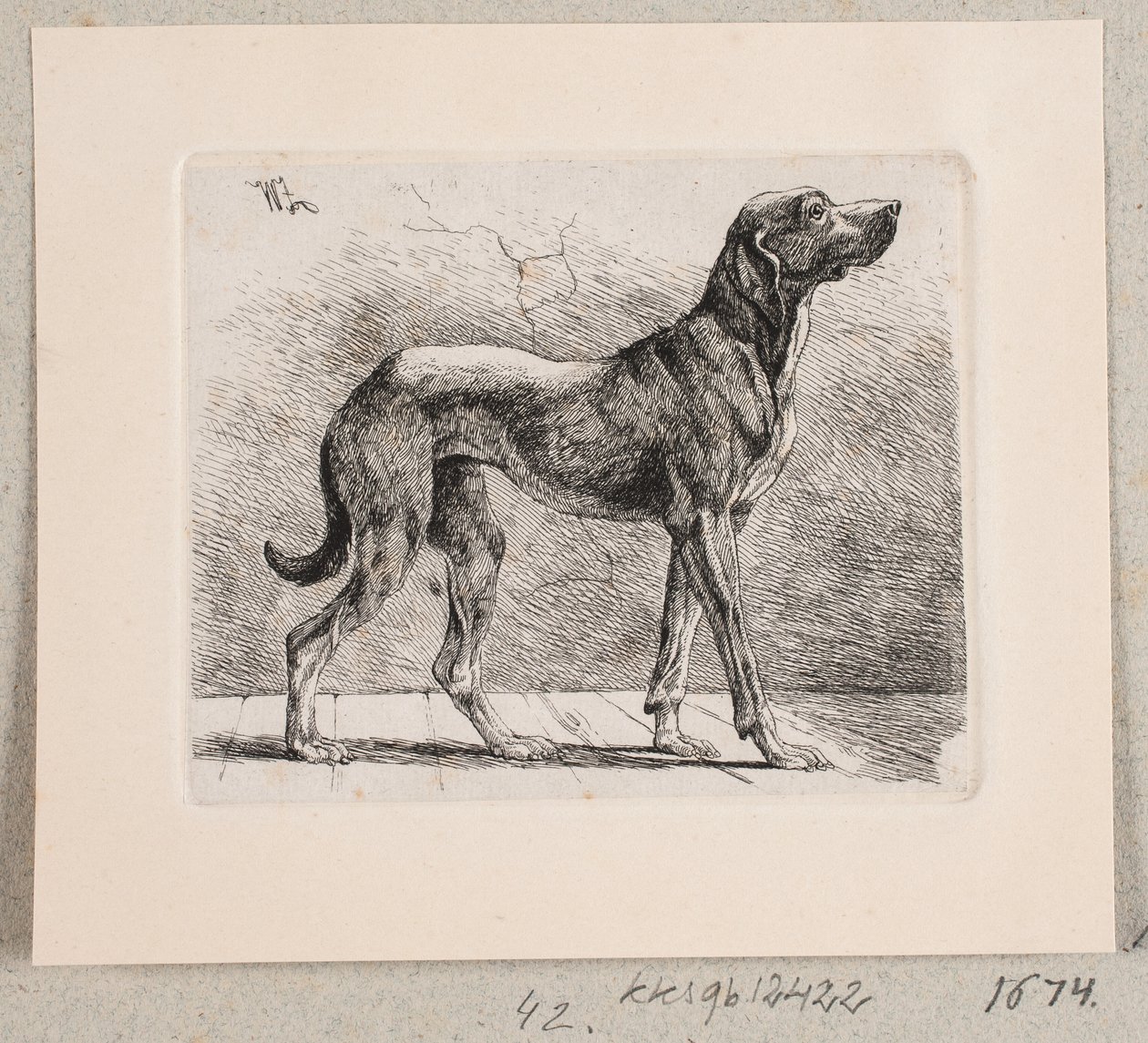 Un cane in piedi da Johannes Wilhelm Zillen