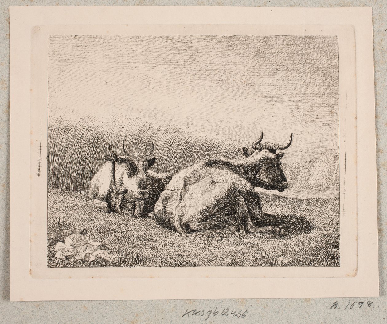 Due mucche a riposo da Johannes Wilhelm Zillen
