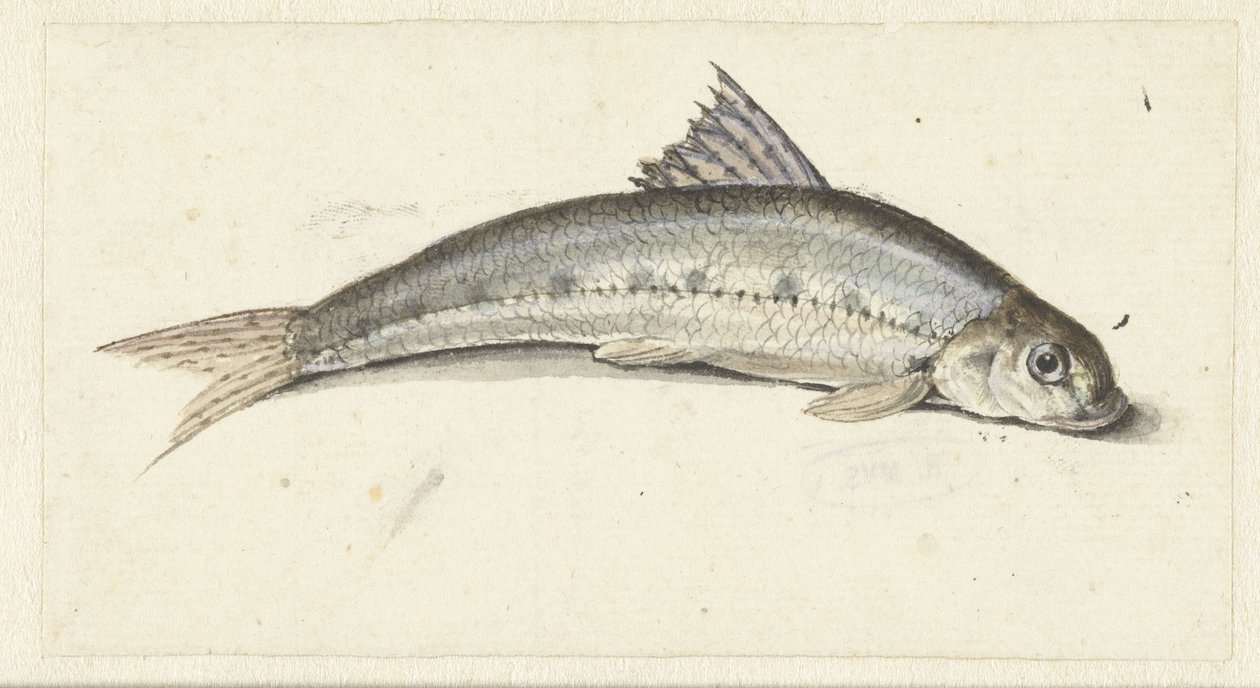 Gondola da Johannes le Francq van Berkhey