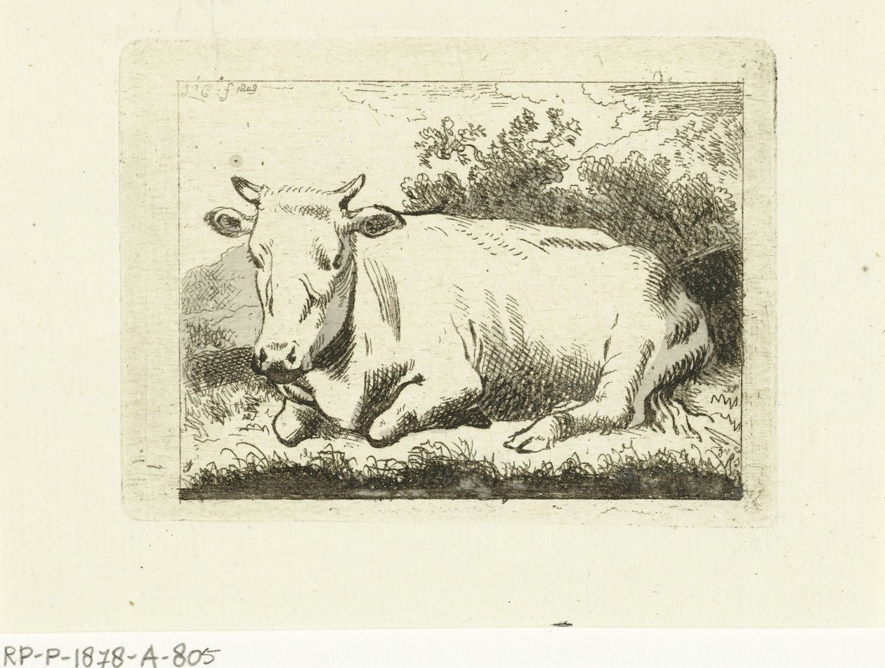 Mucca sdraiata da Johannes van Cuylenburgh