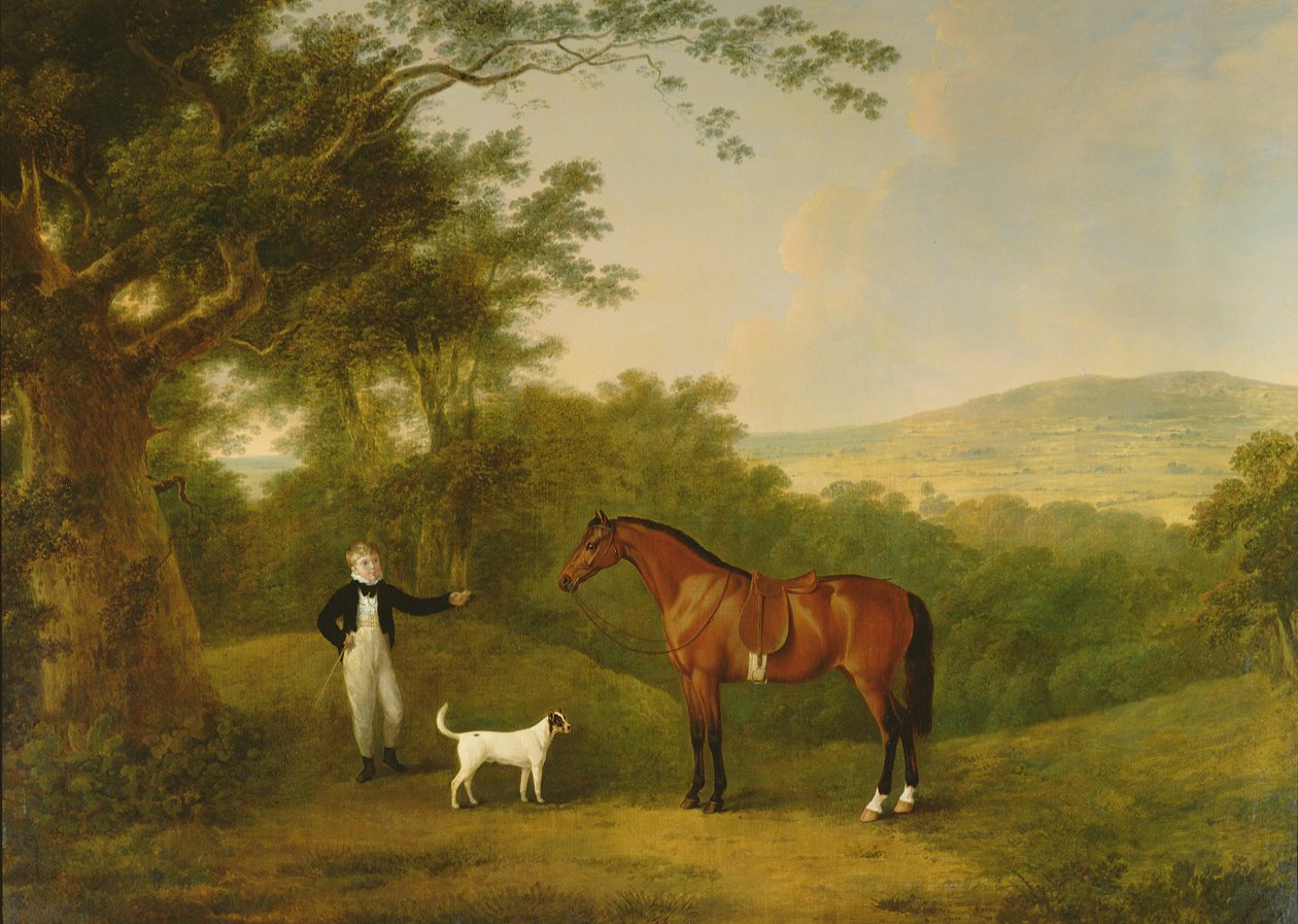 Ritratto di un ragazzo, un terrier e un pony castano da John Boultbee