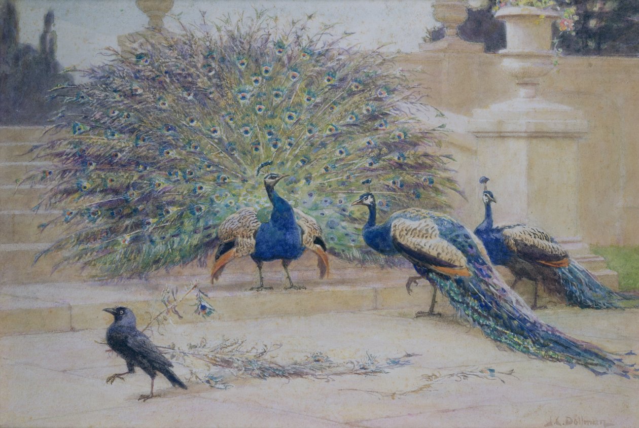 La piuma presa in prestito da John Charles Dollman
