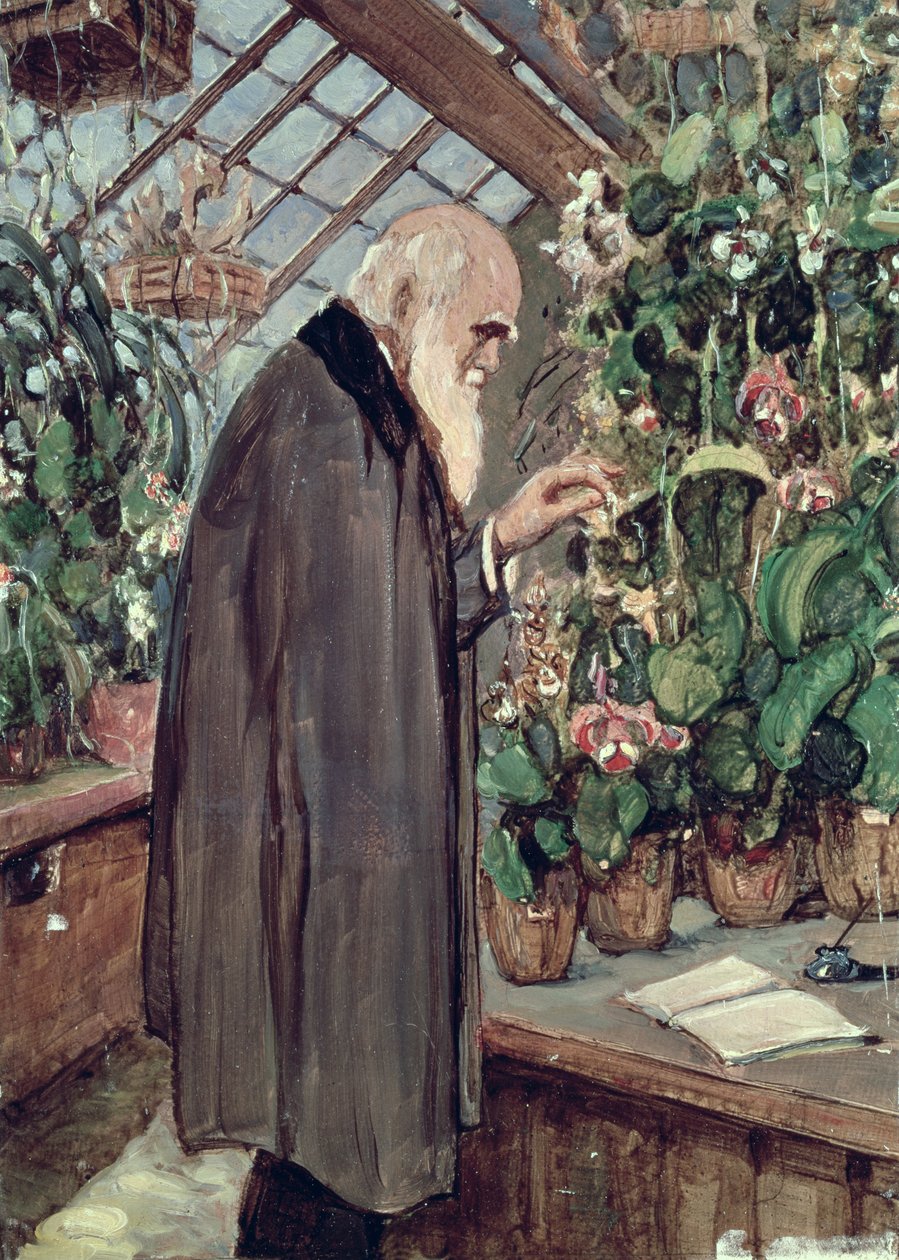 Charles Robert Darwin da John Collier