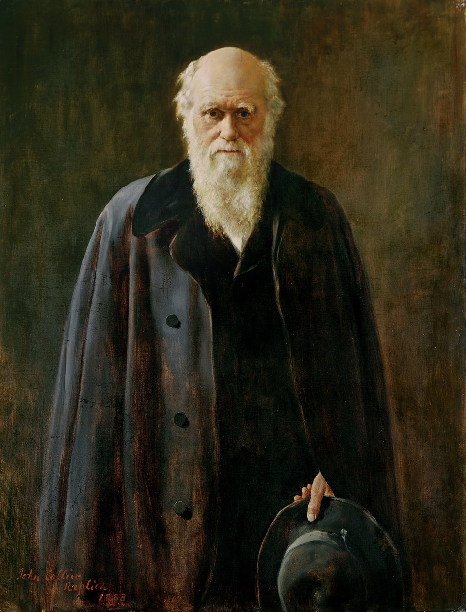 Ritratto di Charles Darwin (1809-1882) 1883 da John Collier