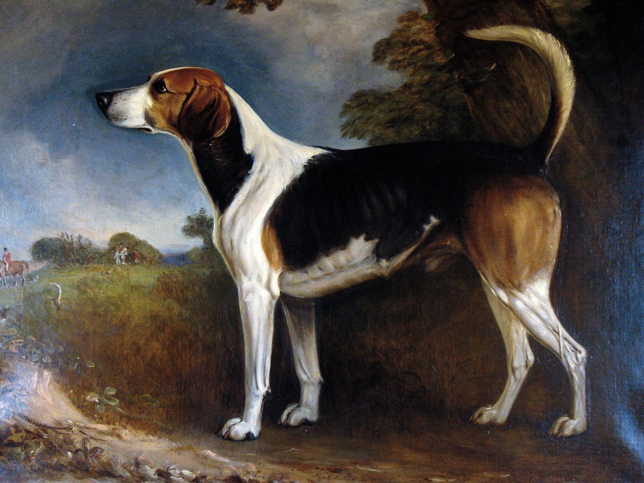Rallywood, 1850 da John E. Ferneley