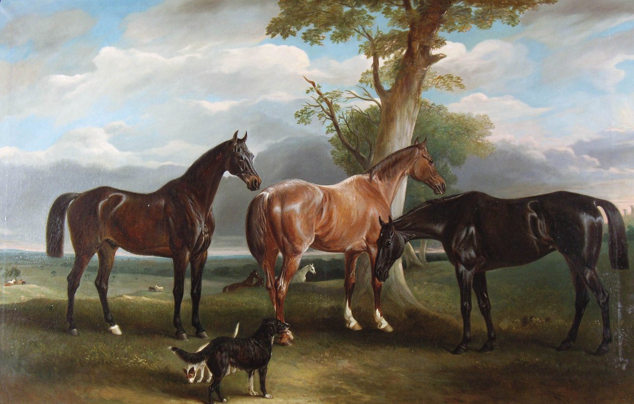 I cacciatori e i cani preferiti del 6° Duca, 1857 da John E. Ferneley