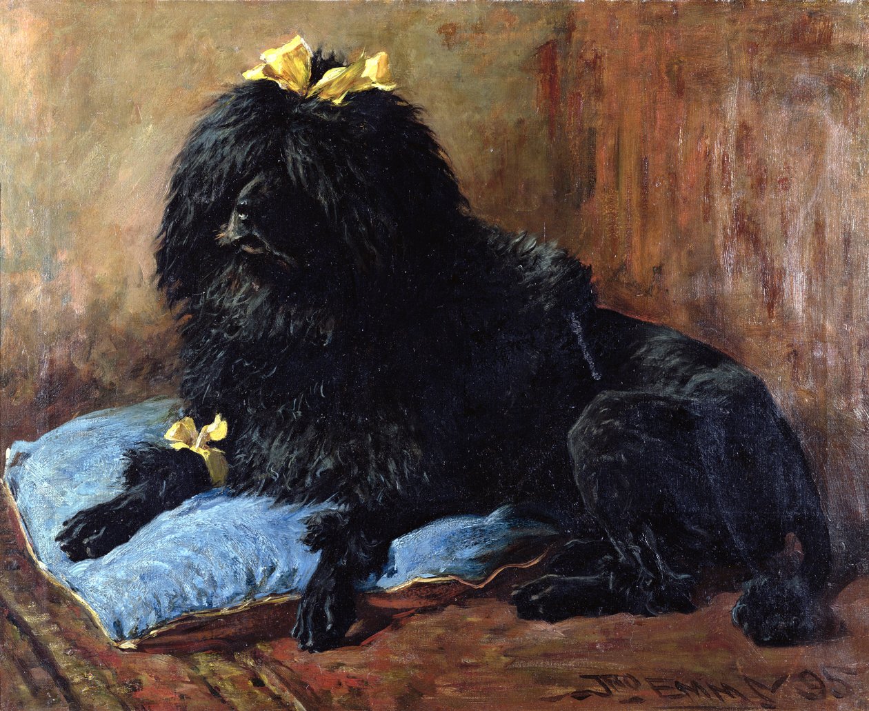 Un barboncino standard nero su un cuscino blu, 1895 da John Emms