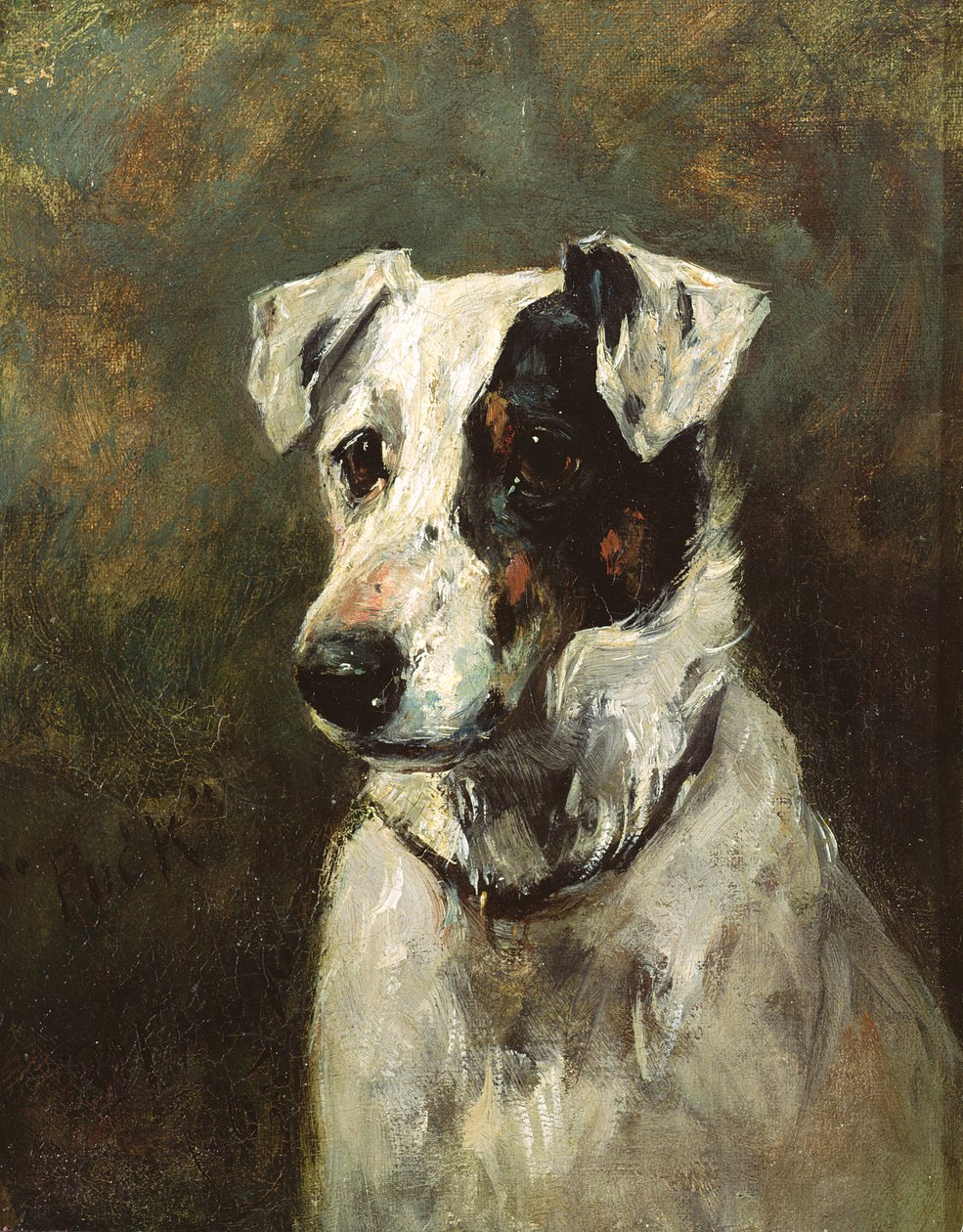 Puck, 1903 da John Emms