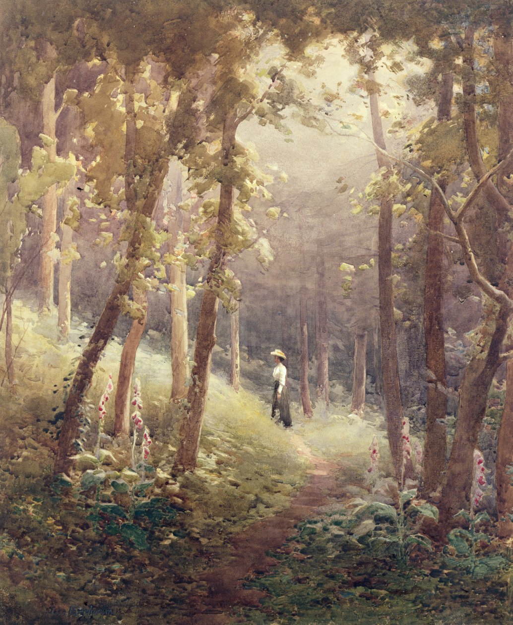 Una radura nel bosco da John Farquharson