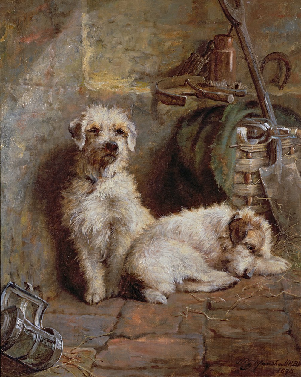 Compagni di stalla, 1898 da John Fitz Marshall