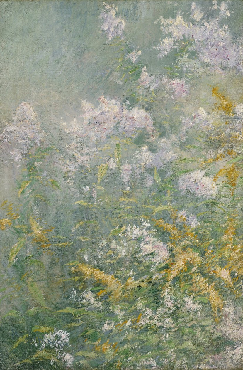 Fiori di prato (Verga d