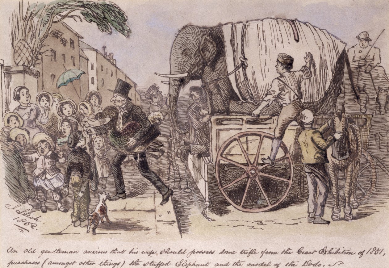 Un vecchio signore ansioso che sua moglie possieda qualche oggetto dalla Grande Esposizione del 1851, acquista (tra le altre cose) l