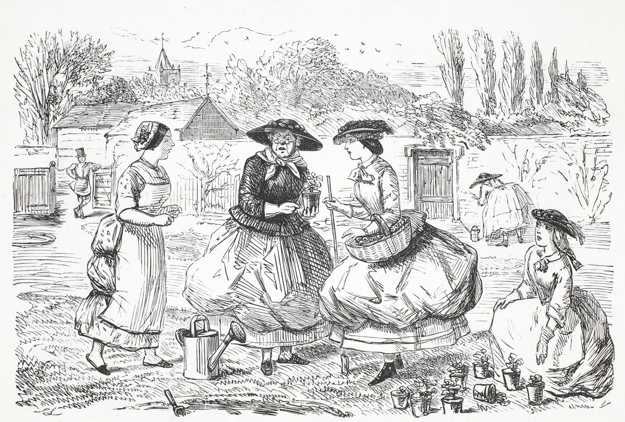 Giardino da John Leech