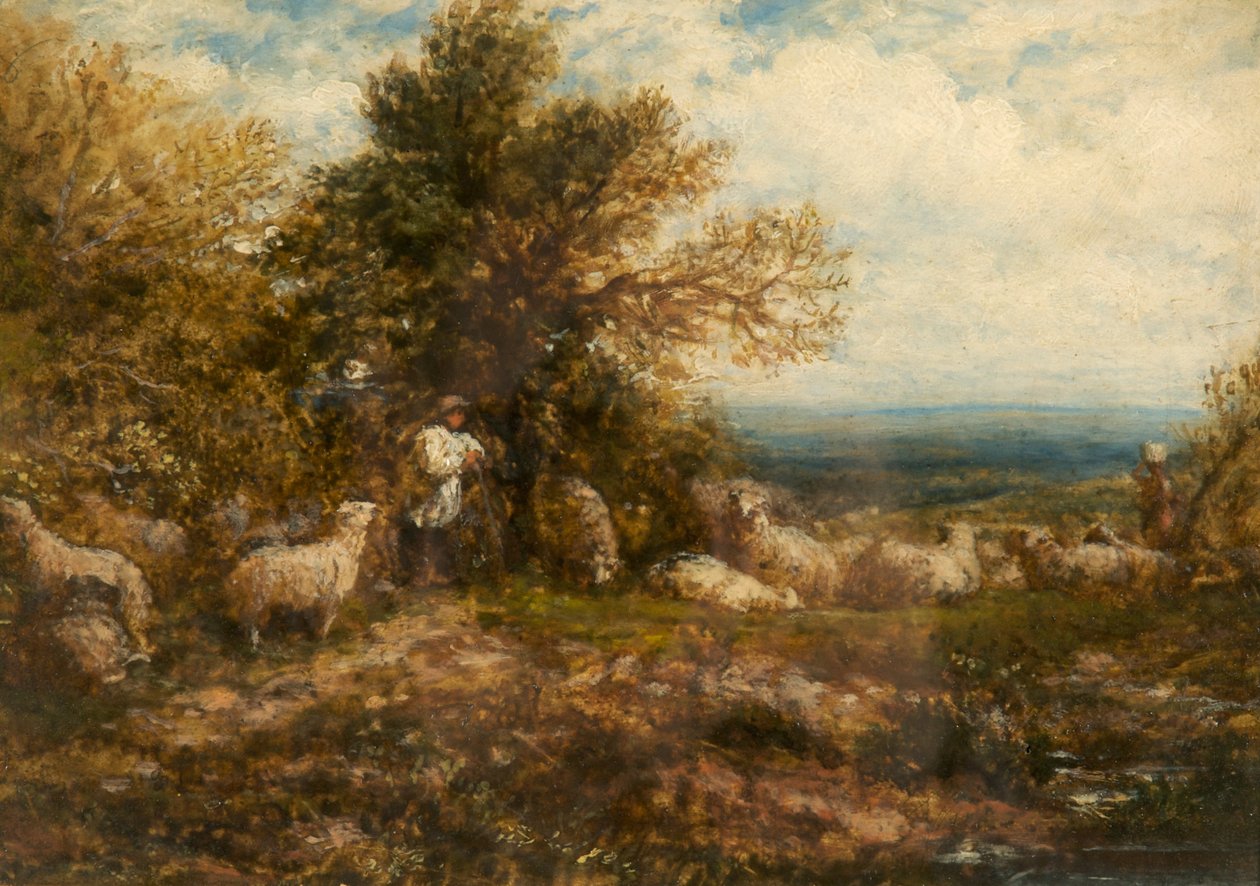 Pecore a riposo; sorvegliare il gregge, c.1840-80 da John Linnell