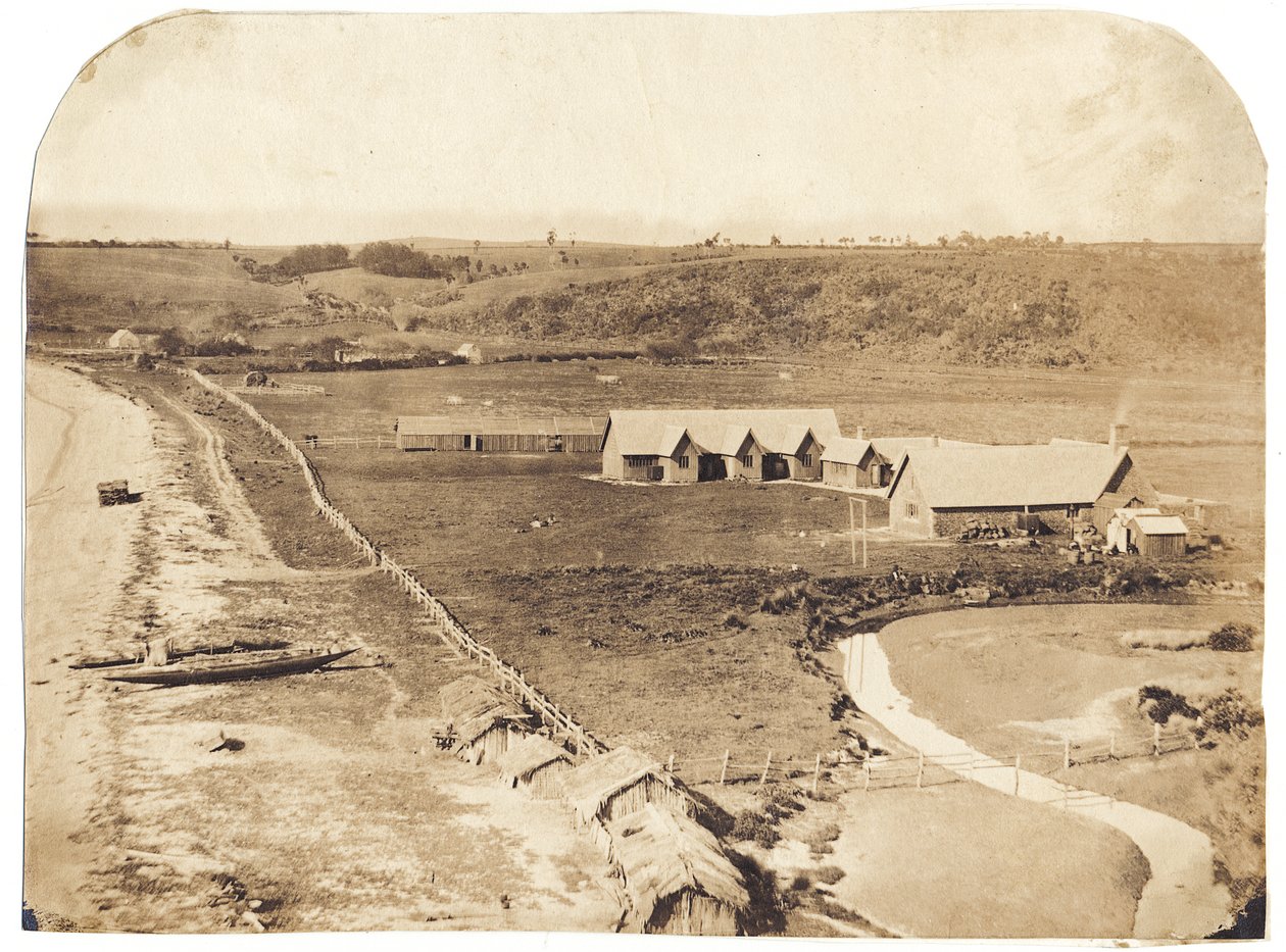 Kohimarama, c.1860 da John Nicol Crombie