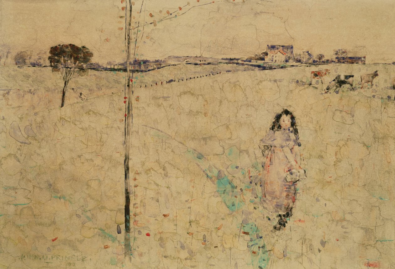 Ragazza in un prato, 1892 da John Quinton Pringle