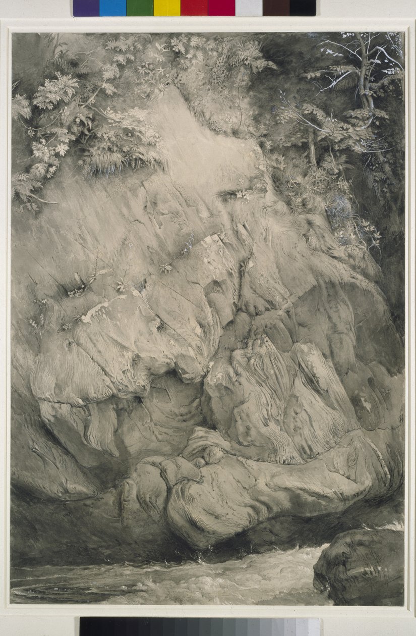 Studio di roccia di gneiss, Glenfinlas, 1853-54 da John Ruskin
