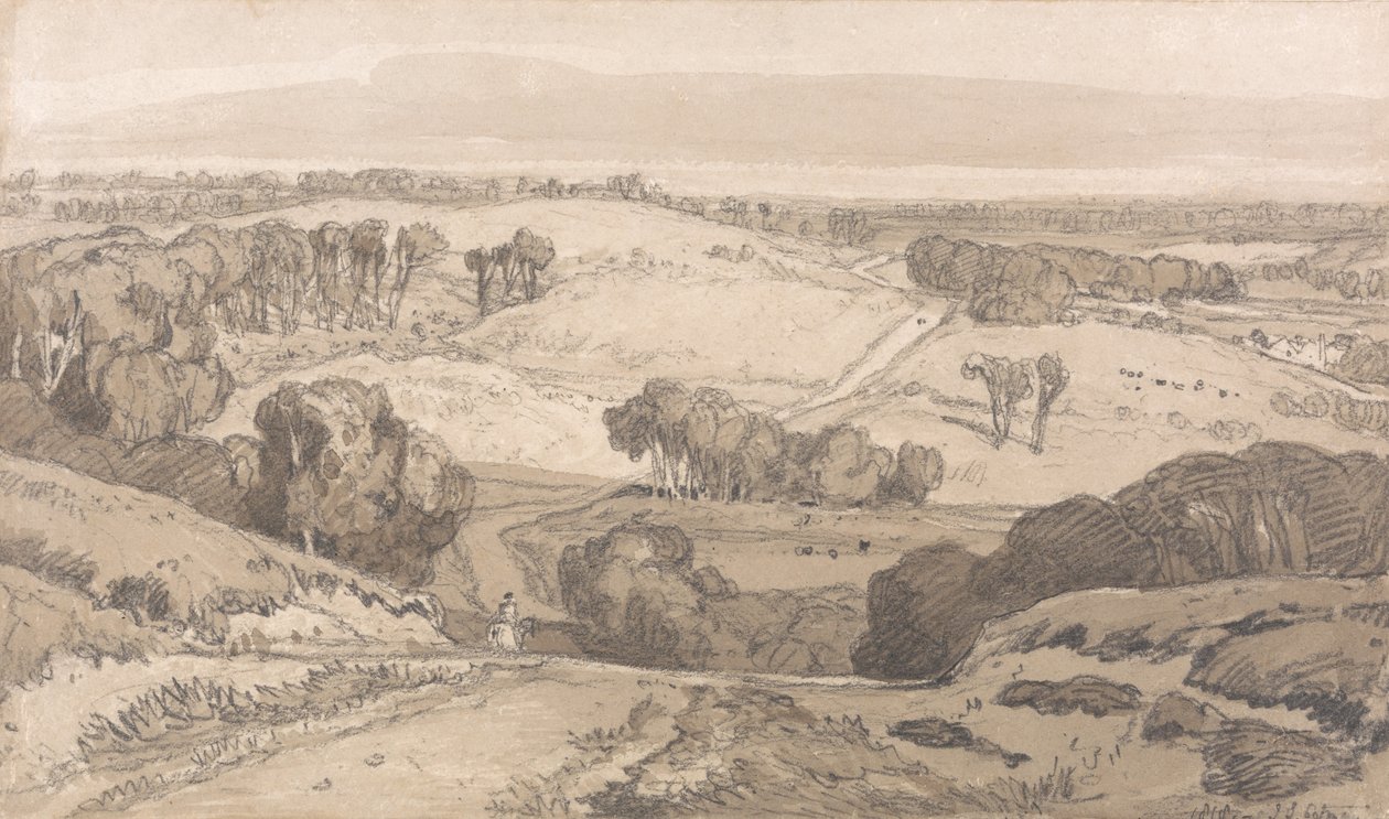 Holt Heath, vicino a Norwich da John Sell Cotman