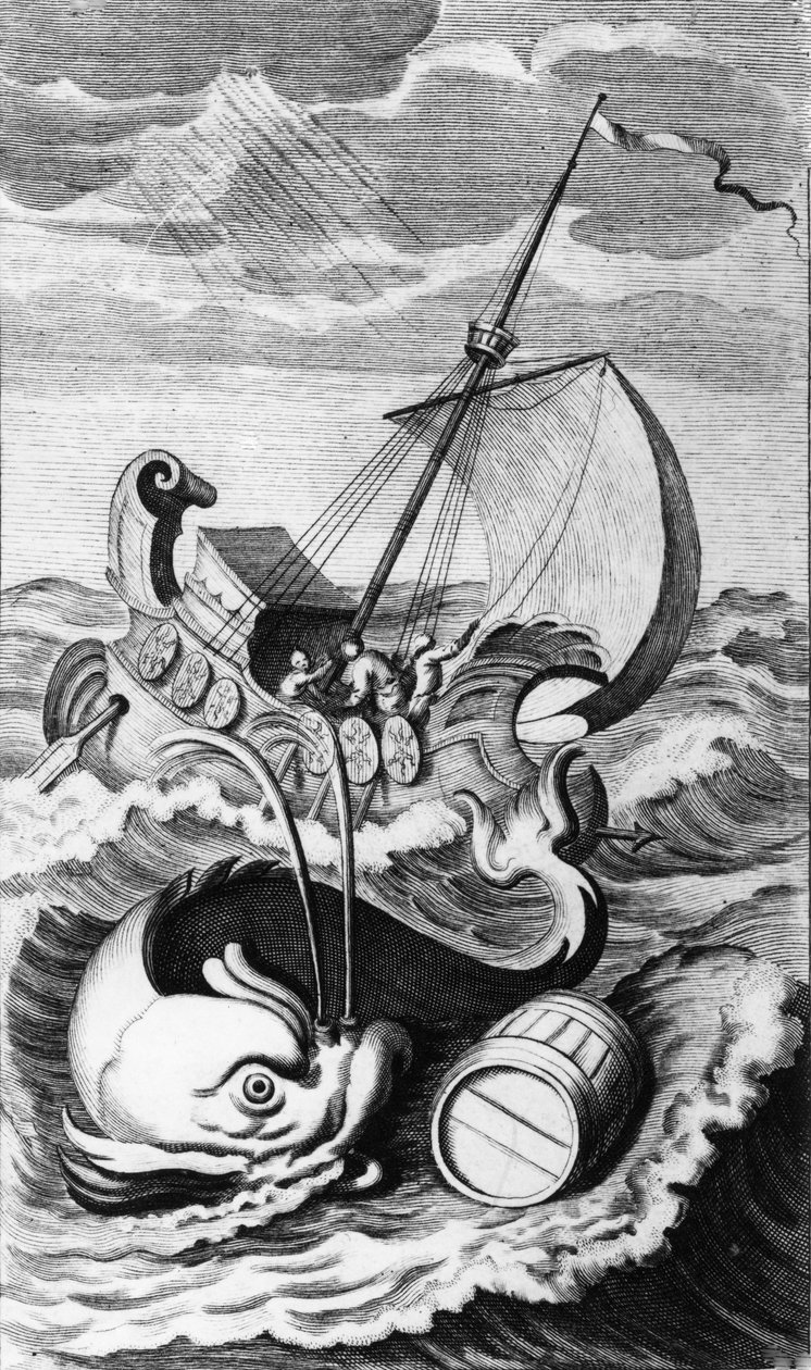 Illustrazione da 