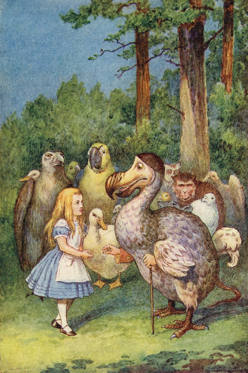 Il Dodo presenta ad Alice un ditale (incisione a colori) da John Tenniel